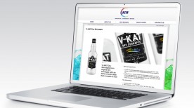 ICB_Web_2